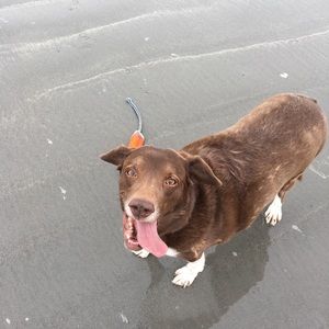 Meet your Posher, Christine